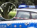 policja