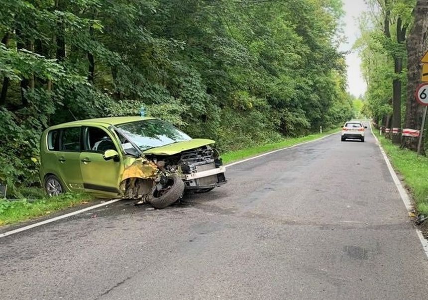 pszczyła winna wypadkowi