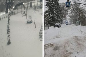 Wypadek w Żabiej Woli