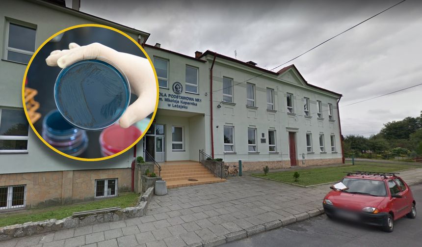 Salmonella w szkole w Leżajsku