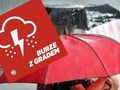 Parasol