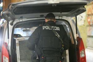 policja