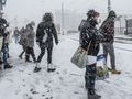 20 cm śniegu 8 grudnia na Pomorzu