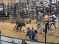 Byk wbiegł w tłum ludzi w trakcie rodeo