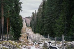 Granica fińsko-rosyjska