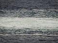 Wybuchy przy Nord Stream mogły uszkodzić kabel biegnący do Polski