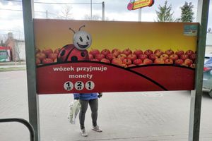 naklejka na szybie Biedronki