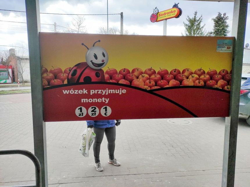 naklejka na szybie Biedronki