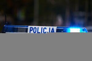 policja