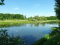 warta