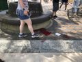 Parada Niepodległości