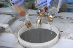Masowe zatrucia po spożyciu nielegalnego alkoholu w Indiach