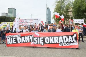 Protest rolników