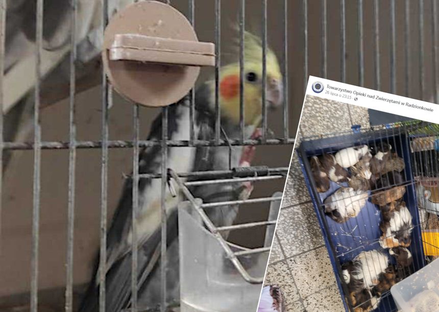 sklep zoologiczny