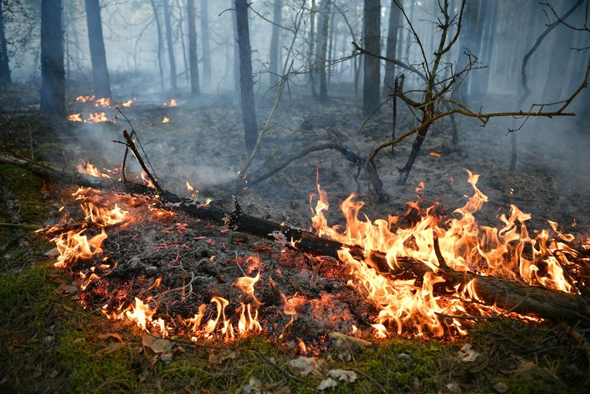 pożar Prosna