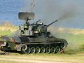 Gepard