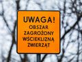 Wścieklizna