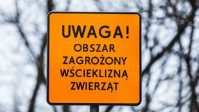 Wścieklizna