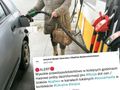 Wojna w Ukrainie a brak paliwa. „Wysokie prawdopodobieństwo prób dezinformacji”