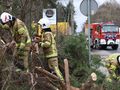 Alert RCB przed wiatrem i burzami 20 lutego