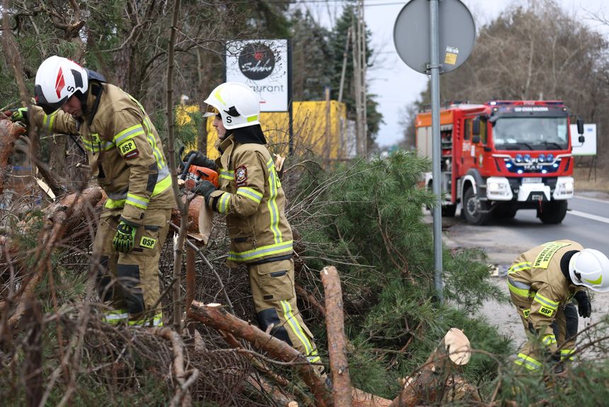 Alert RCB przed wiatrem i burzami 20 lutego
