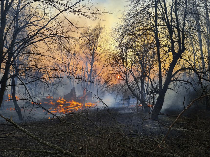 Płonące lasy w Czarnobylu? Służby wyjaśniają 