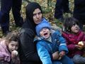 Migranci