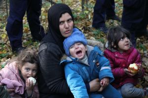 Migranci
