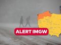 Śnieżyca