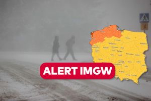 Śnieżyca