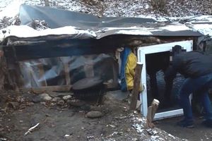 siedem lat ukrywał się w lesie