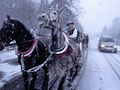 Śnieżyca w Zakopanem