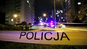 policja