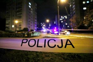 policja