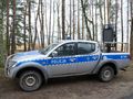 policja