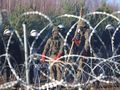 migranci przedostali się do Polski