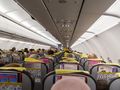 Pegasus Airlines