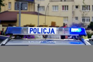 policja