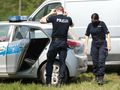 policja