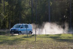 Policja - zdjęcie ilustracyjne