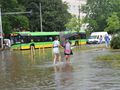 zalane miasto