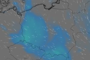 Przymrozki na koniec lata - prognoza IMGW