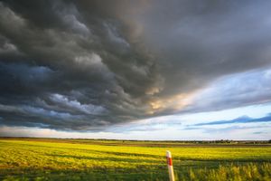 IMGW: Zmiana pogody od środy, co w zimne ogrodniki