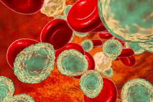 Candida auris w USA. Opiera się wszystkim lekom