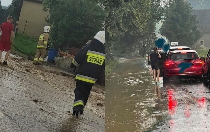 Strzyżowiec zalany