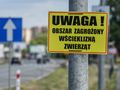 Wścieklizna w Olsztynie
