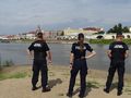 policja