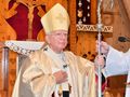 abp Marek Jędraszewski