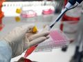 wielokrotnie używali tych samych testów na covid