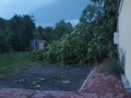 Koniecpol, burza